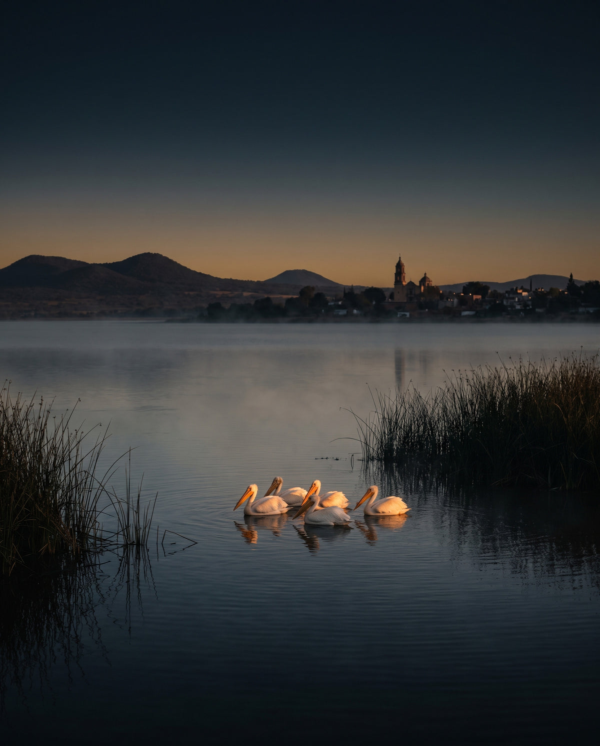 Pelícanos blancos sobre la laguna de Villa Corona al amanecer, con los cerros y el pueblo a contraluz. Imagen ilustrativa.